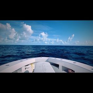 EVERYTHING MUST GO!!!! PRICING IS FLEXIBLE.